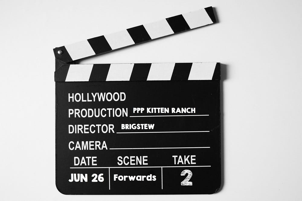 2025 NHL Draft Profiles: Re-Entry Defensemen