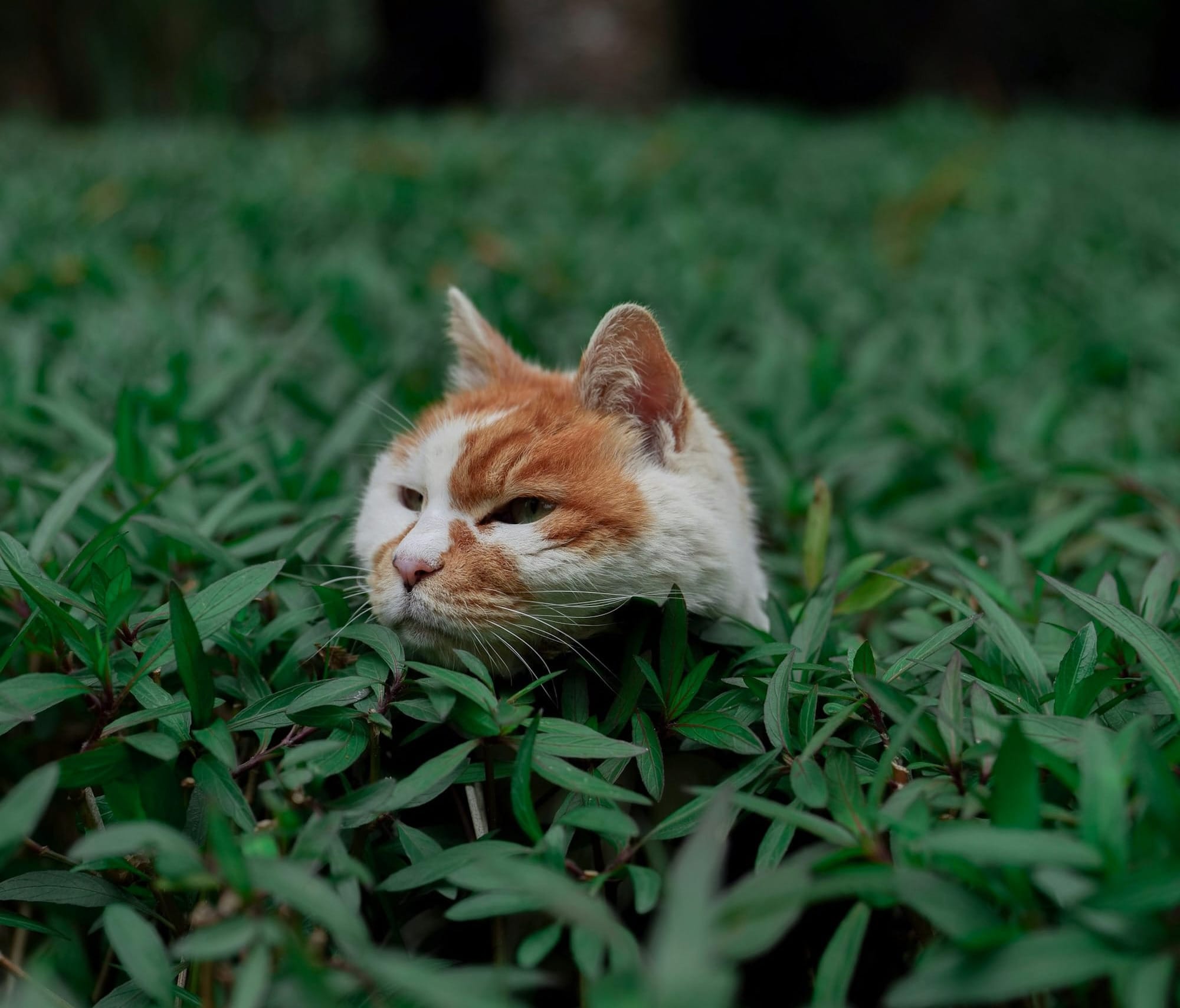 Weekend FTB: What? There's hockey next week?