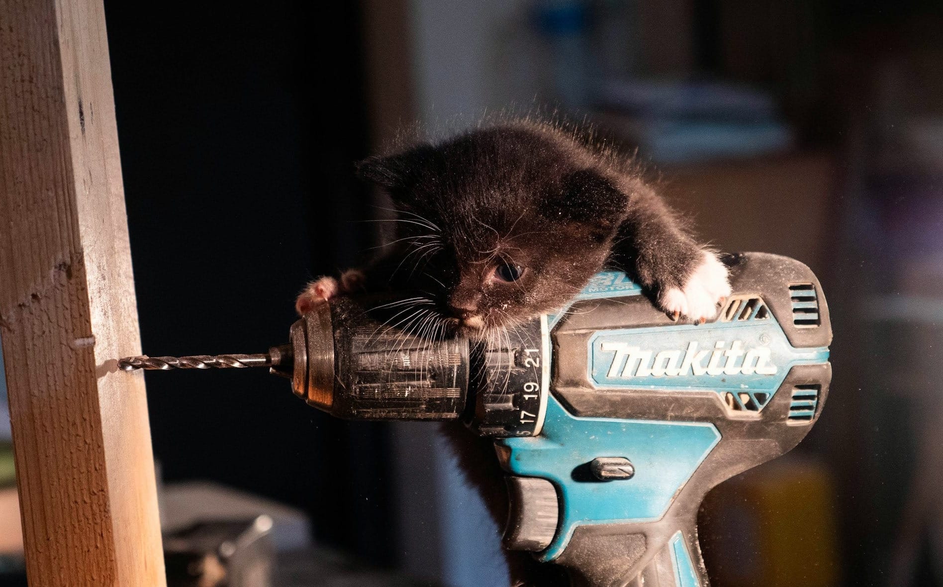 Long Weekend FTB: The Laborious time before hockey is back