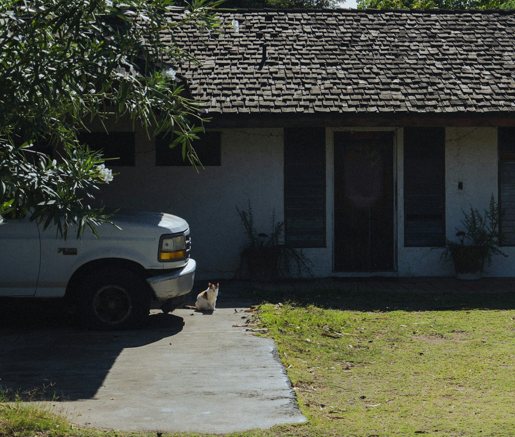 FTB: The last week of the boring no-news off-season?