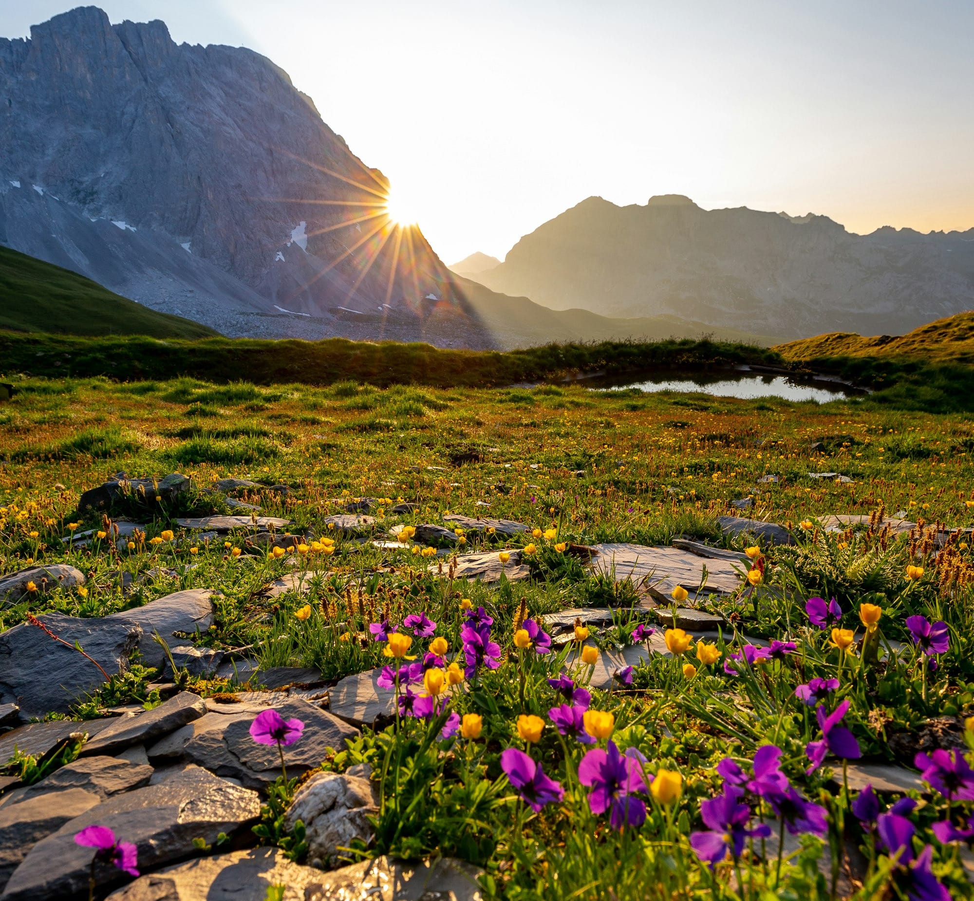 Tuesday's FTB: The Leafs get lost in the wilderness