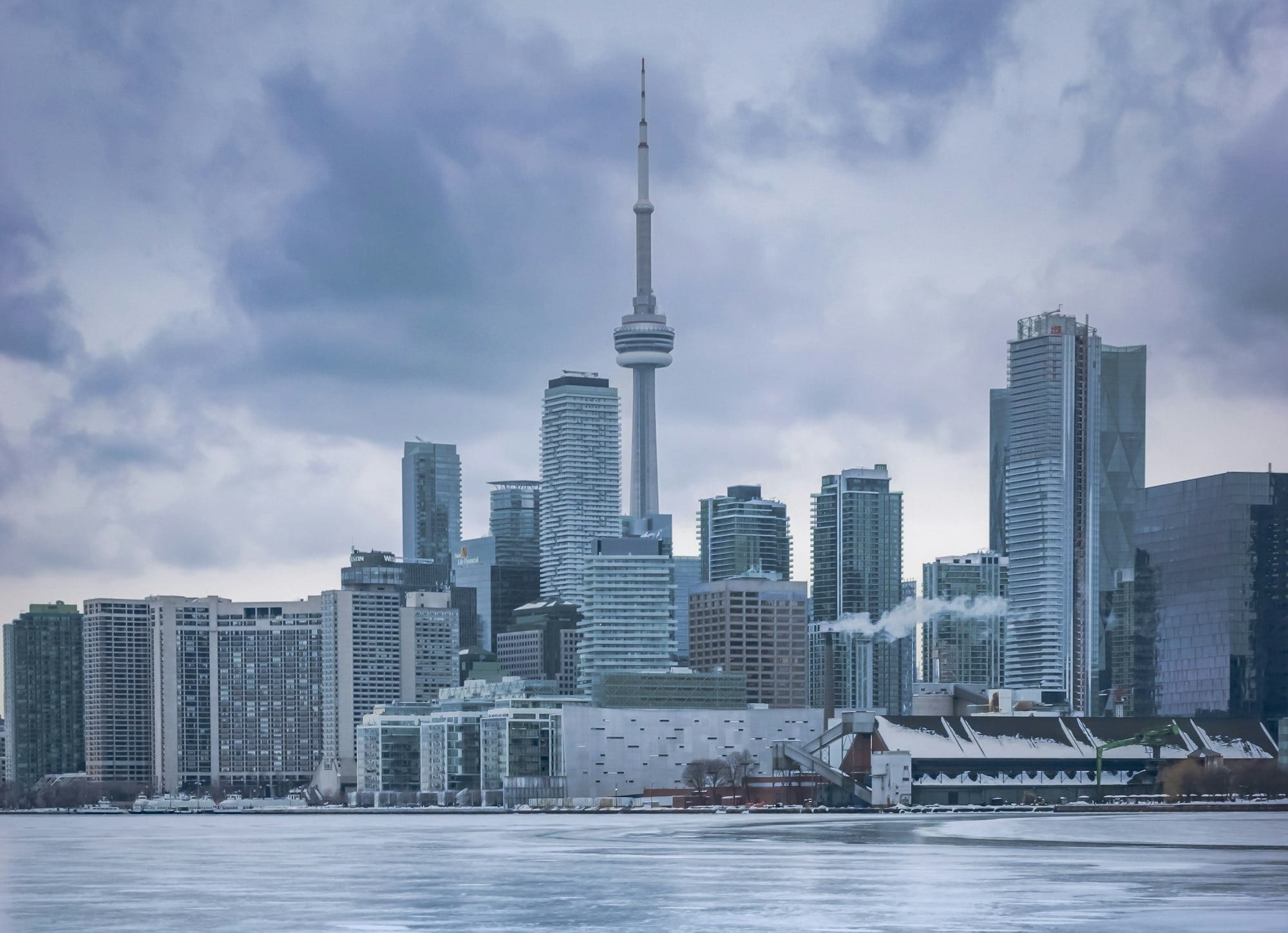 Preview: Wild in Toronto