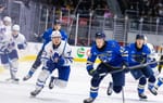 Marlies make quick work of the Thunderbirds after a wild start to the game