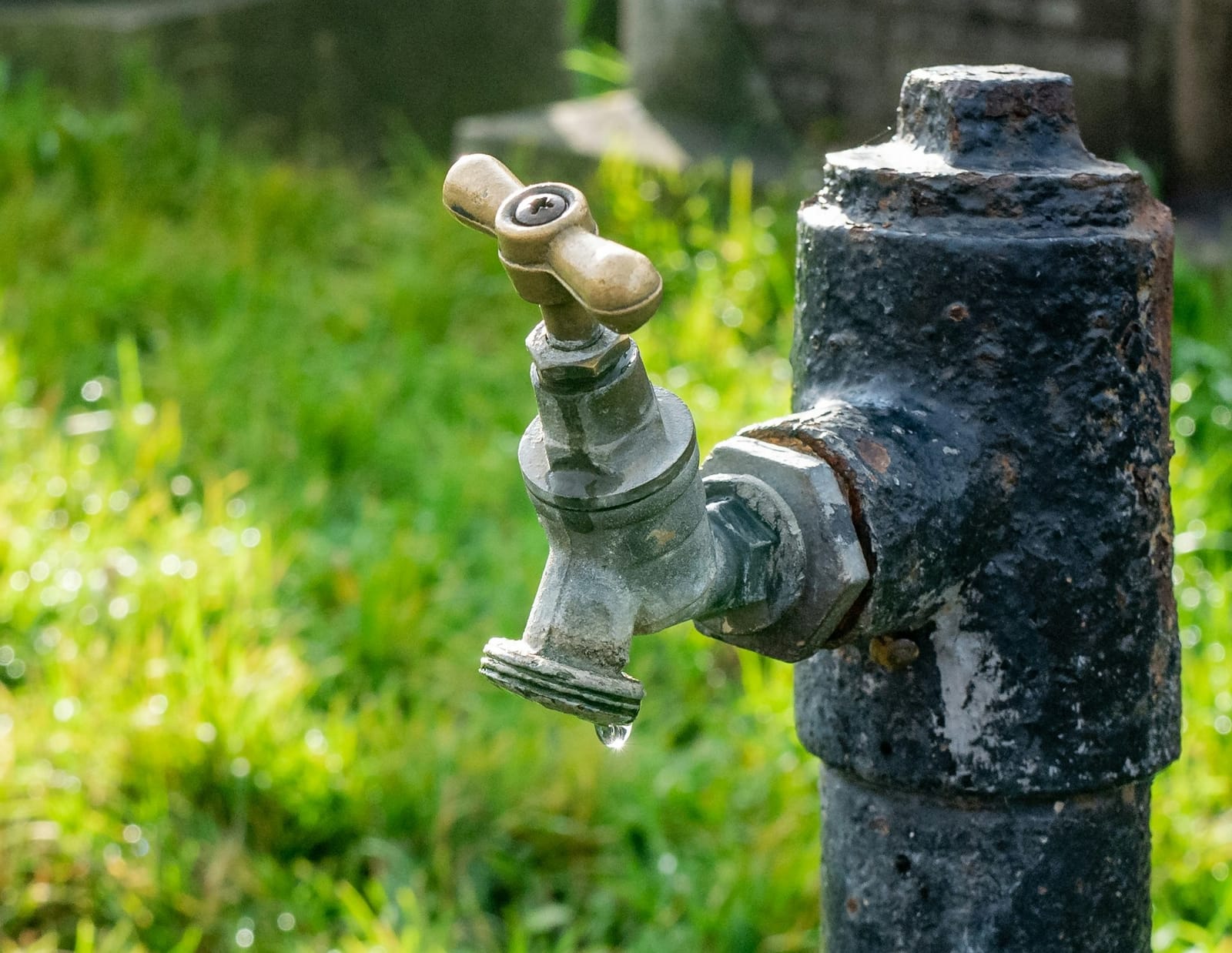 Monday's FTB: Summer Lull Begins