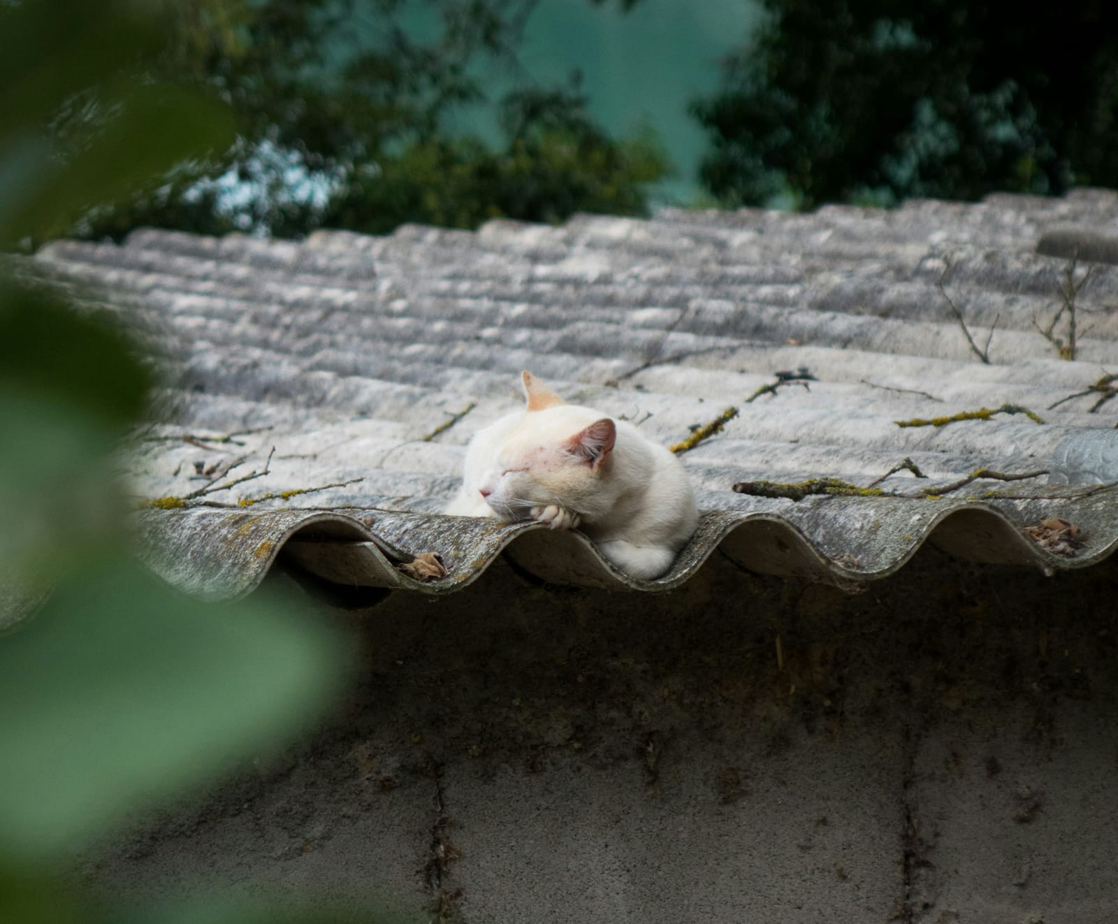 Weekend FTB: Hockey snooze