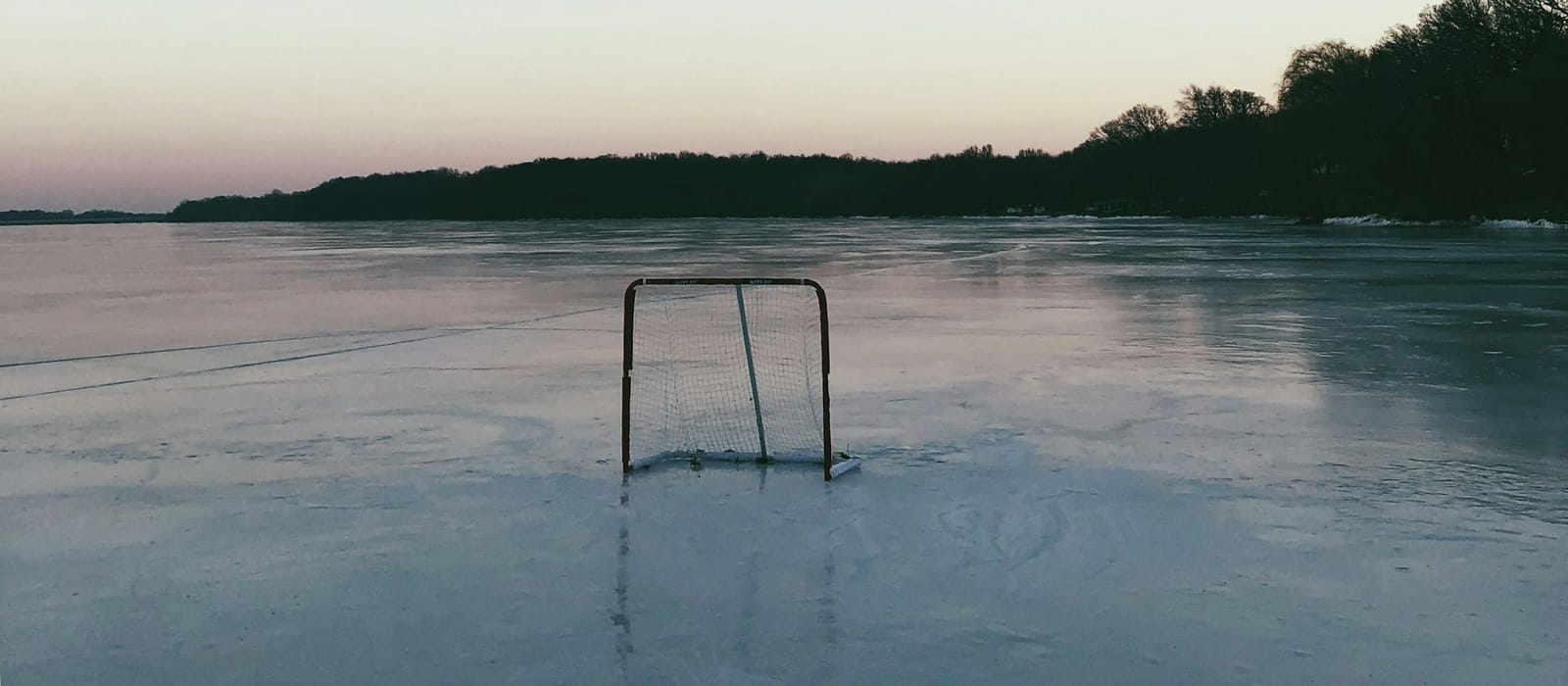 Who's in net for the Leafs?
