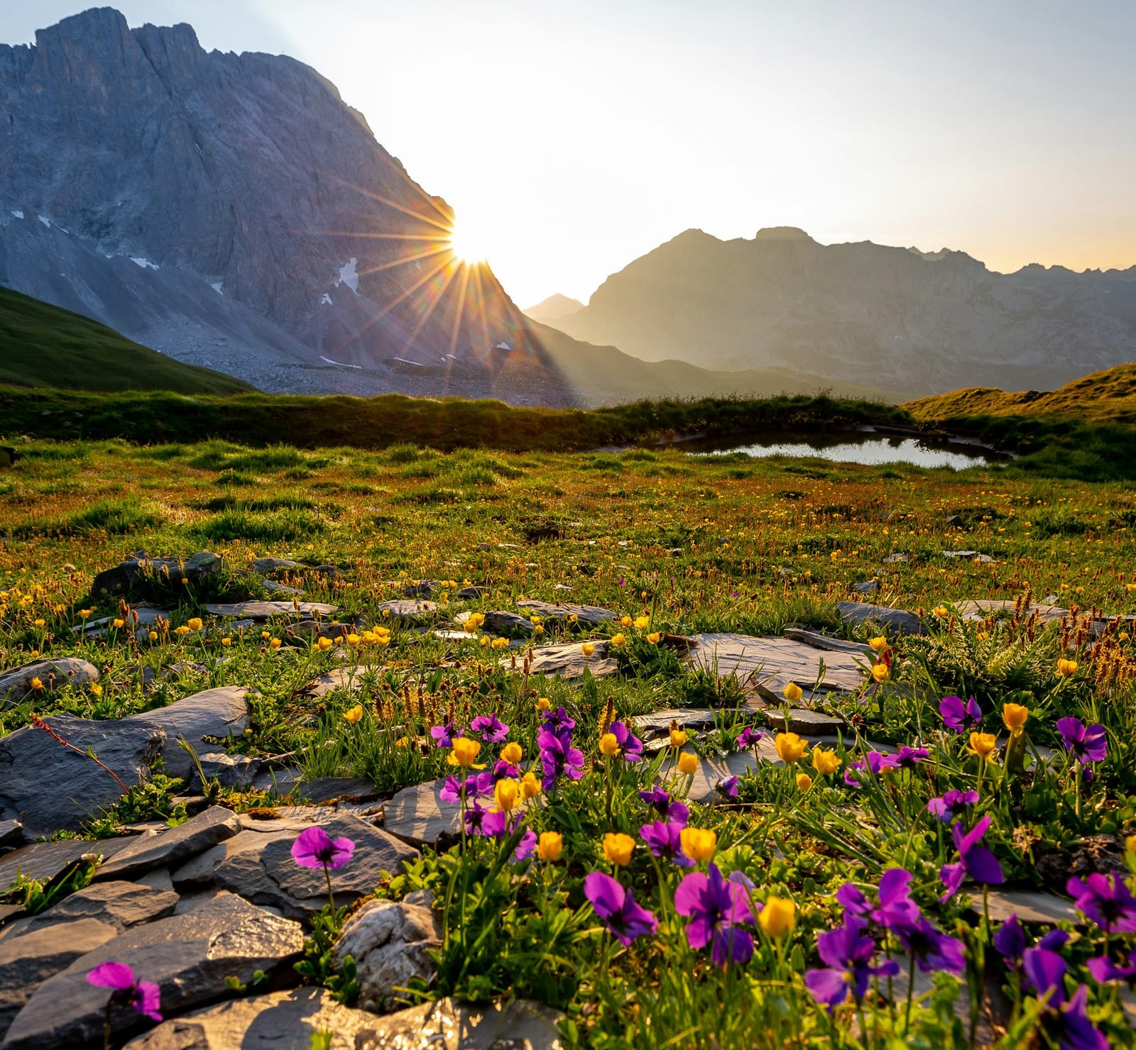 Tuesday's FTB: The Leafs get lost in the wilderness