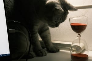 Thursday's FTB: Only one month to go