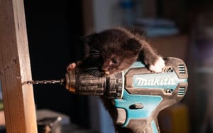 Long Weekend FTB: The Laborious time before hockey is back