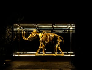 Wednesday's FTB: A mammoth task awaits