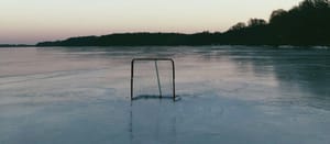 Who's in net for the Leafs?