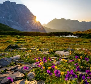 Tuesday's FTB: The Leafs get lost in the wilderness