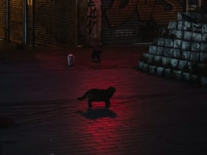 PPP After Dark: Late night activities