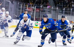Marlies make quick work of the Thunderbirds after a wild start to the game