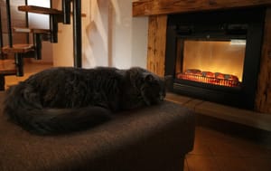 PPP After Dark: Come sit by the fire with us to watch the Leafs and Flames