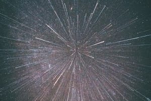 Maple Leafs Prospect Report: March 3rd News and Stars