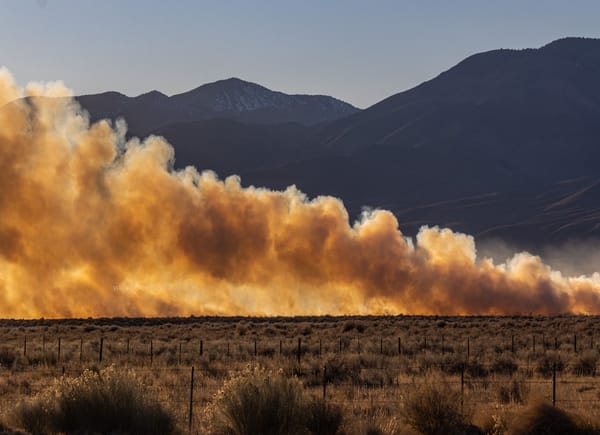 Recap: Auston Matthews scores 30th in arid win over Anaheim