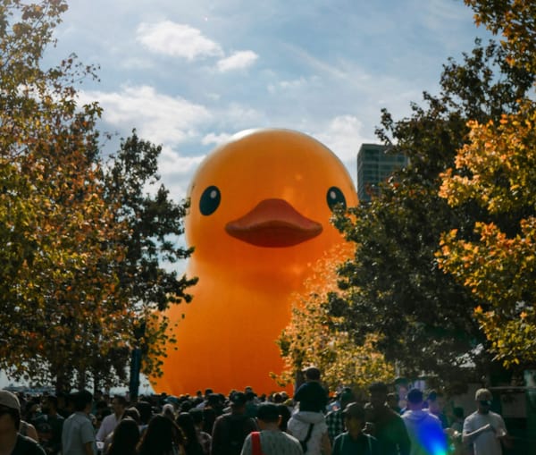 GDT: Leafs finish the season series with the Ducks