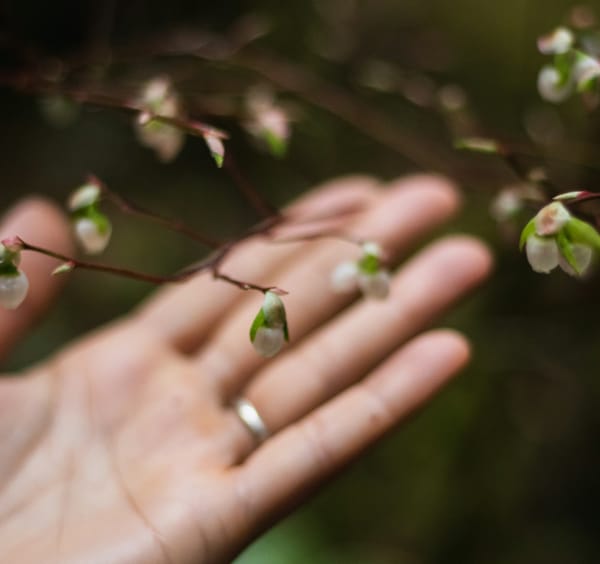 Saturday FTB: Marlies live a little longer