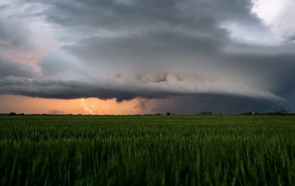 Thursday's FTB: Calm before the storm